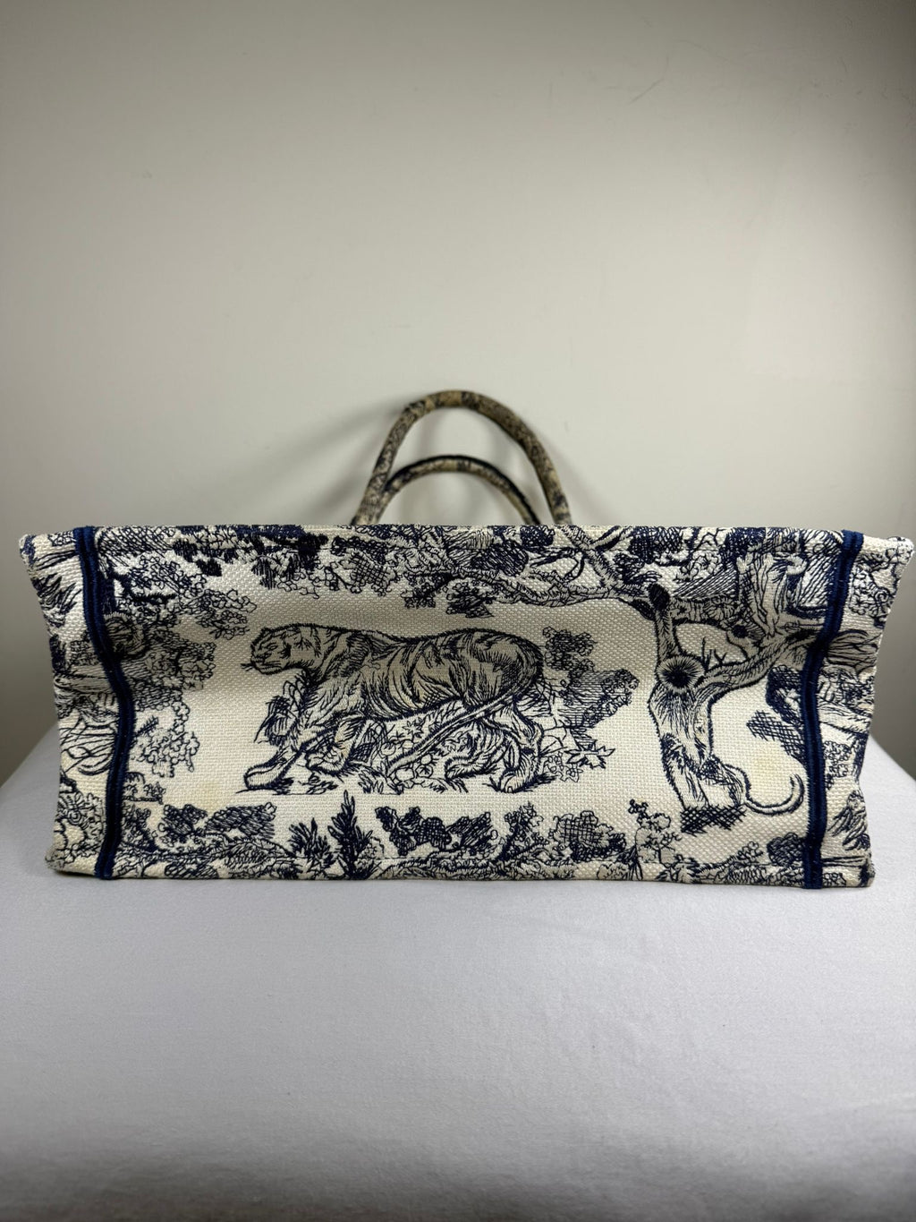 Christian Dior Book Tote