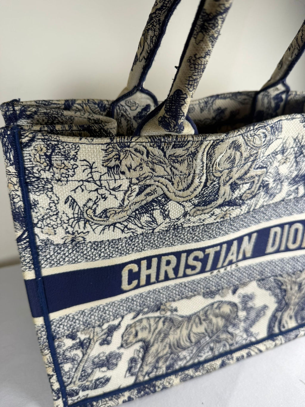 Christian Dior Book Tote