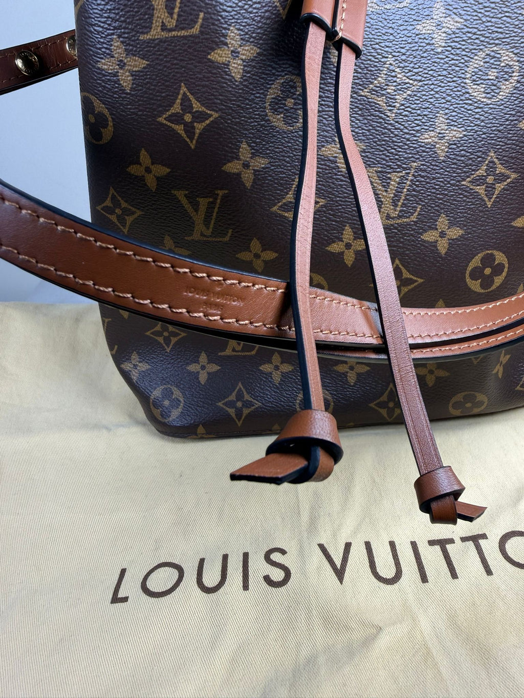 Louis Vuitton NeoNoe MM Monogram Bucket Bag – Excellent Condition