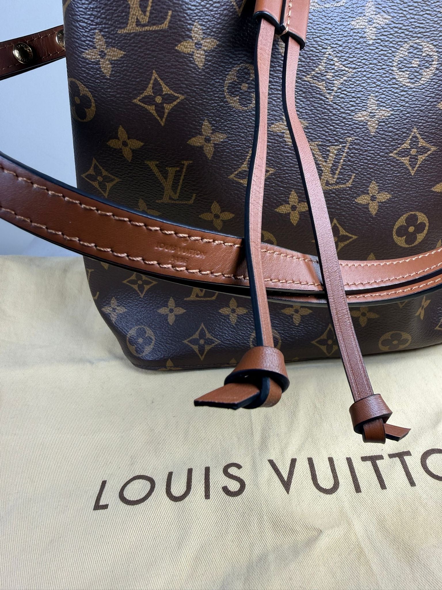 Louis Vuitton NeoNoe MM Monogram Bucket Bag – Excellent Condition