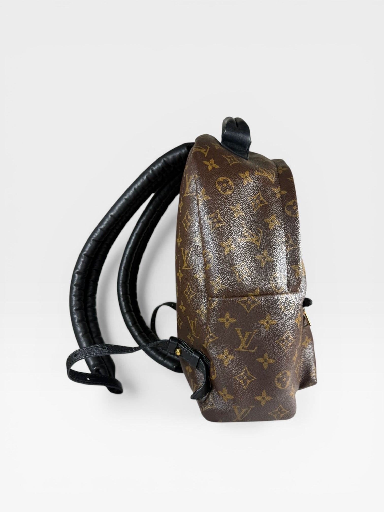 Louis Vuitton Palm Springs PM Backpack Monogram