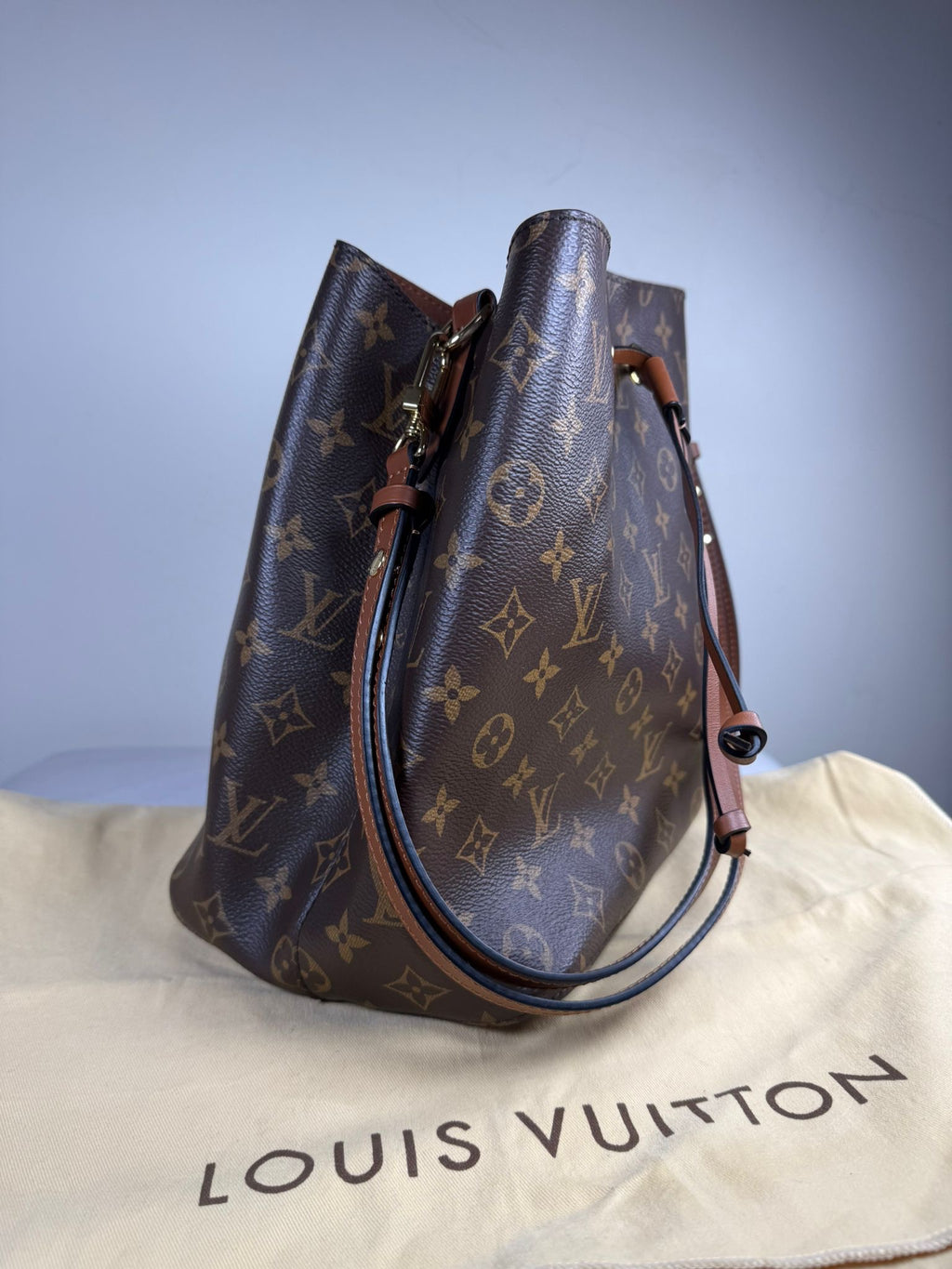 Louis Vuitton NeoNoe MM Monogram Bucket Bag – Excellent Condition
