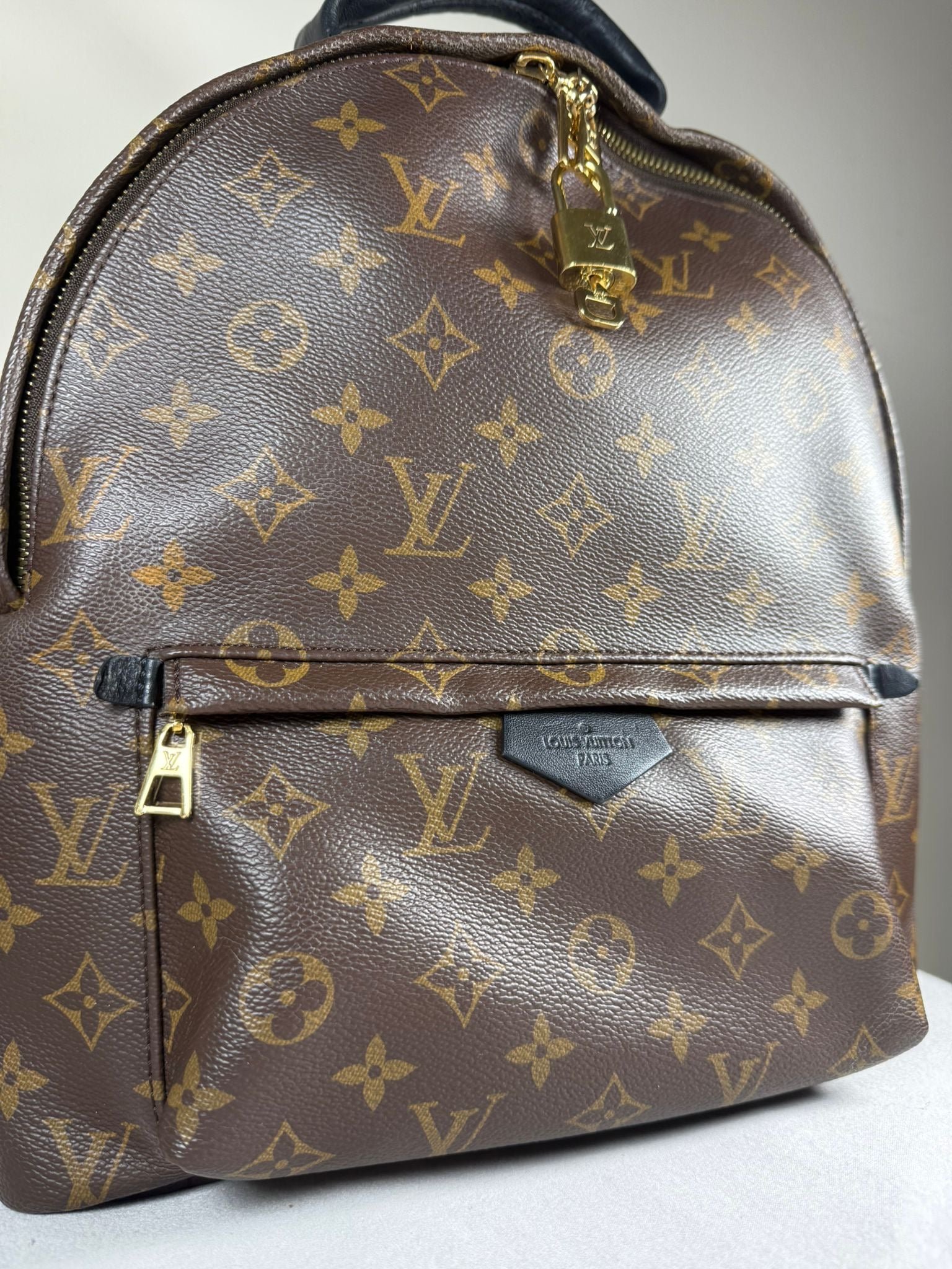 Louis Vuitton Palm Springs PM Backpack Monogram