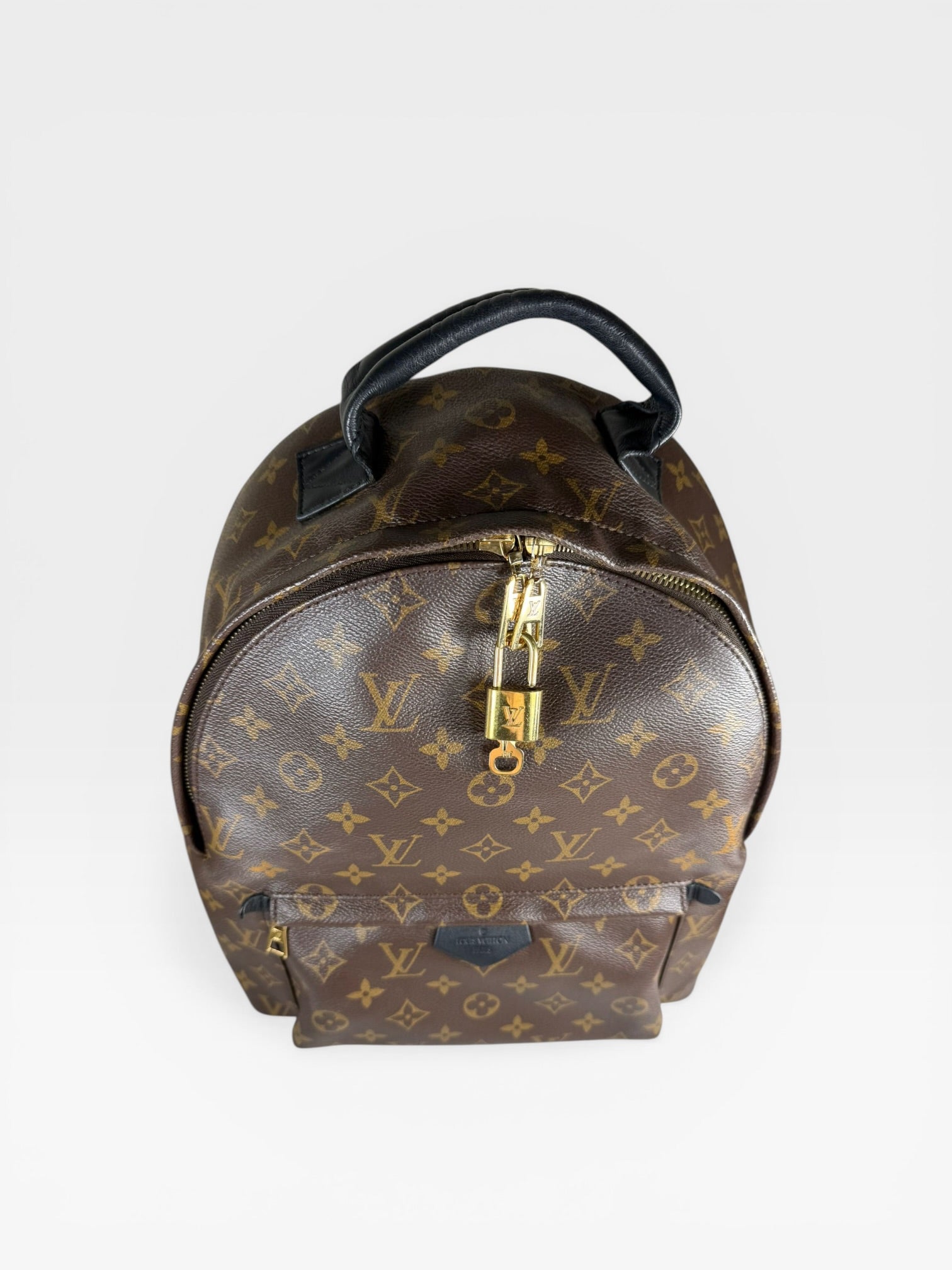 Louis Vuitton Palm Springs PM Backpack Monogram