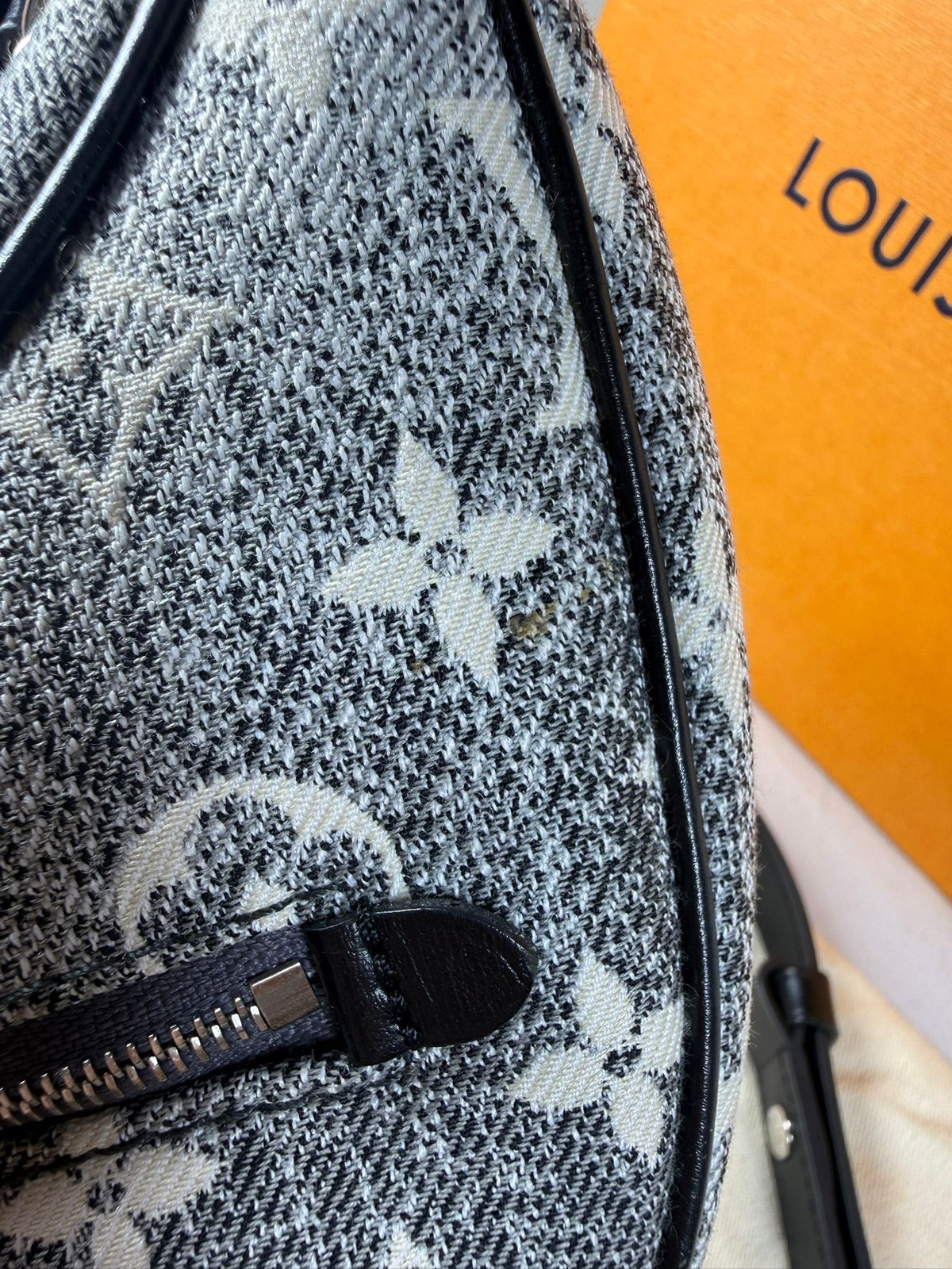 Louis Vuitton Loop PM Monogram Denim Shoulder Bag – Grey