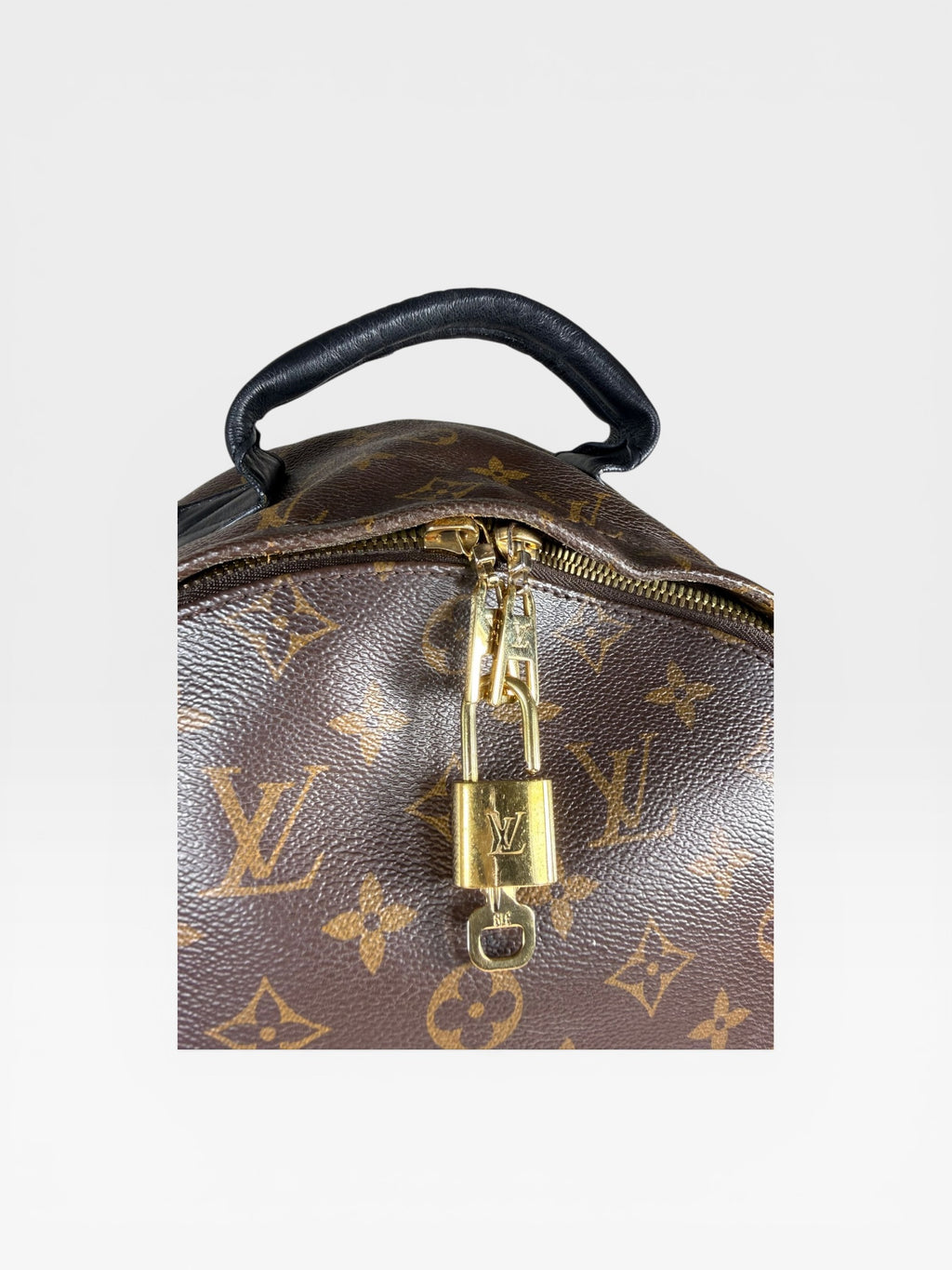 Louis Vuitton Palm Springs PM Backpack Monogram