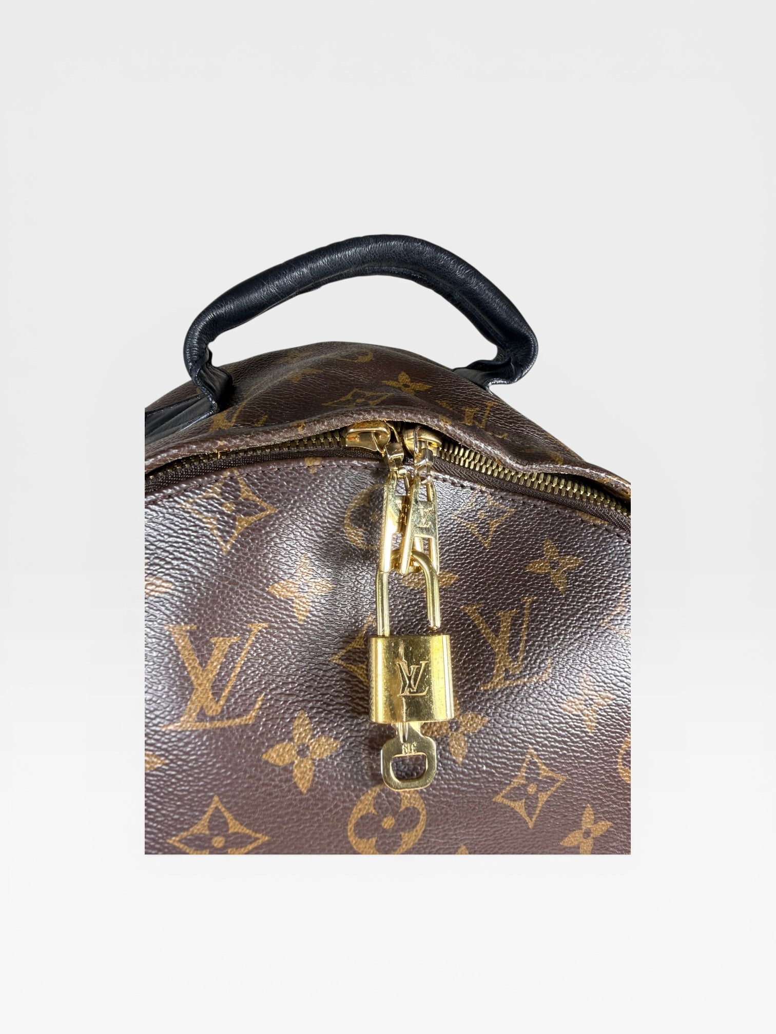 Louis Vuitton Palm Springs PM Backpack Monogram