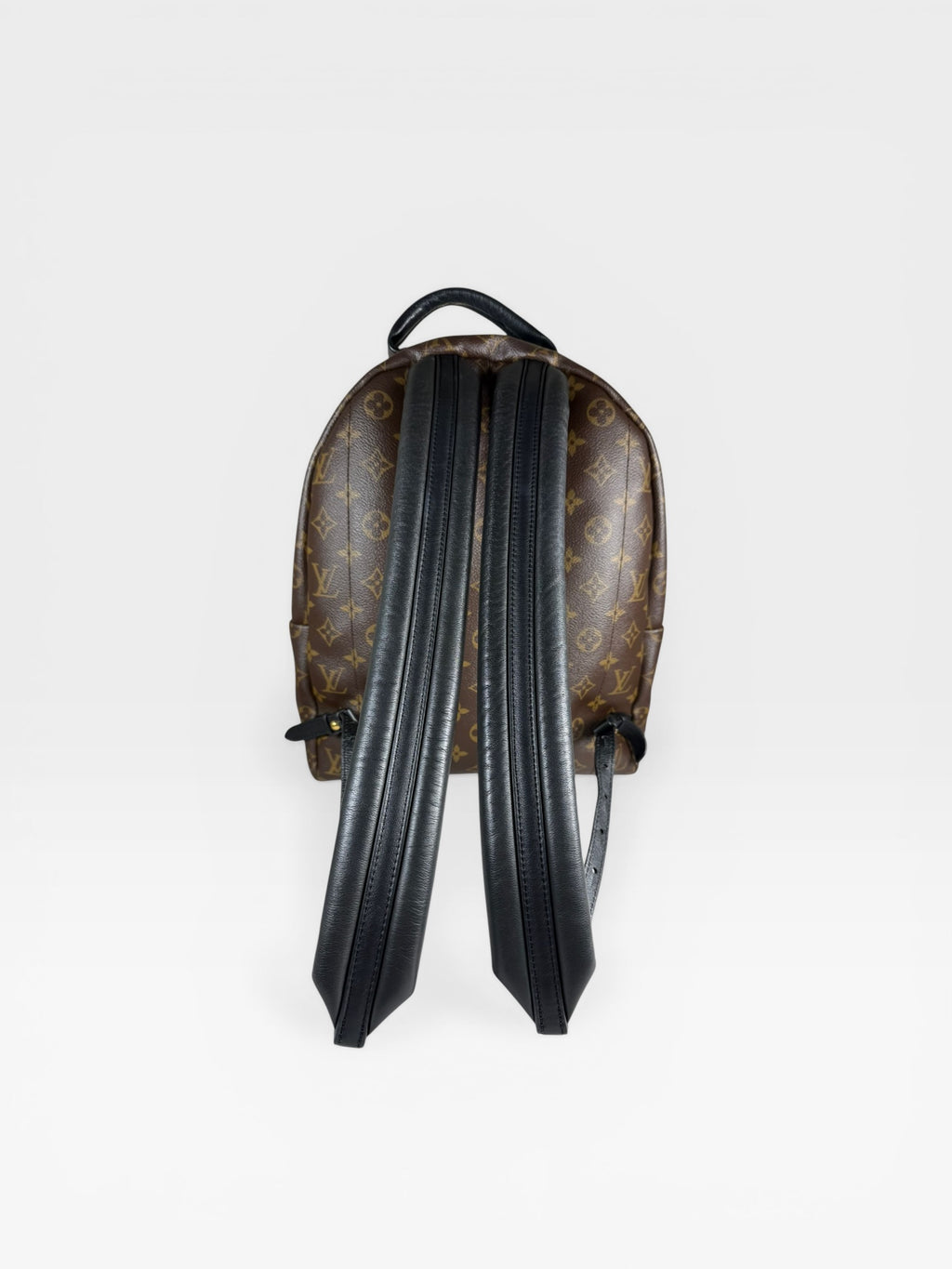Louis Vuitton Palm Springs PM Backpack Monogram