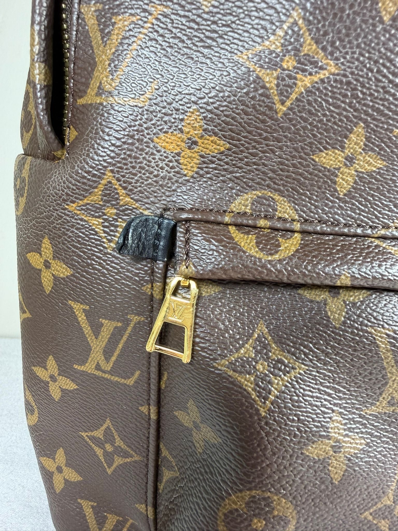 Louis Vuitton Palm Springs PM Backpack Monogram