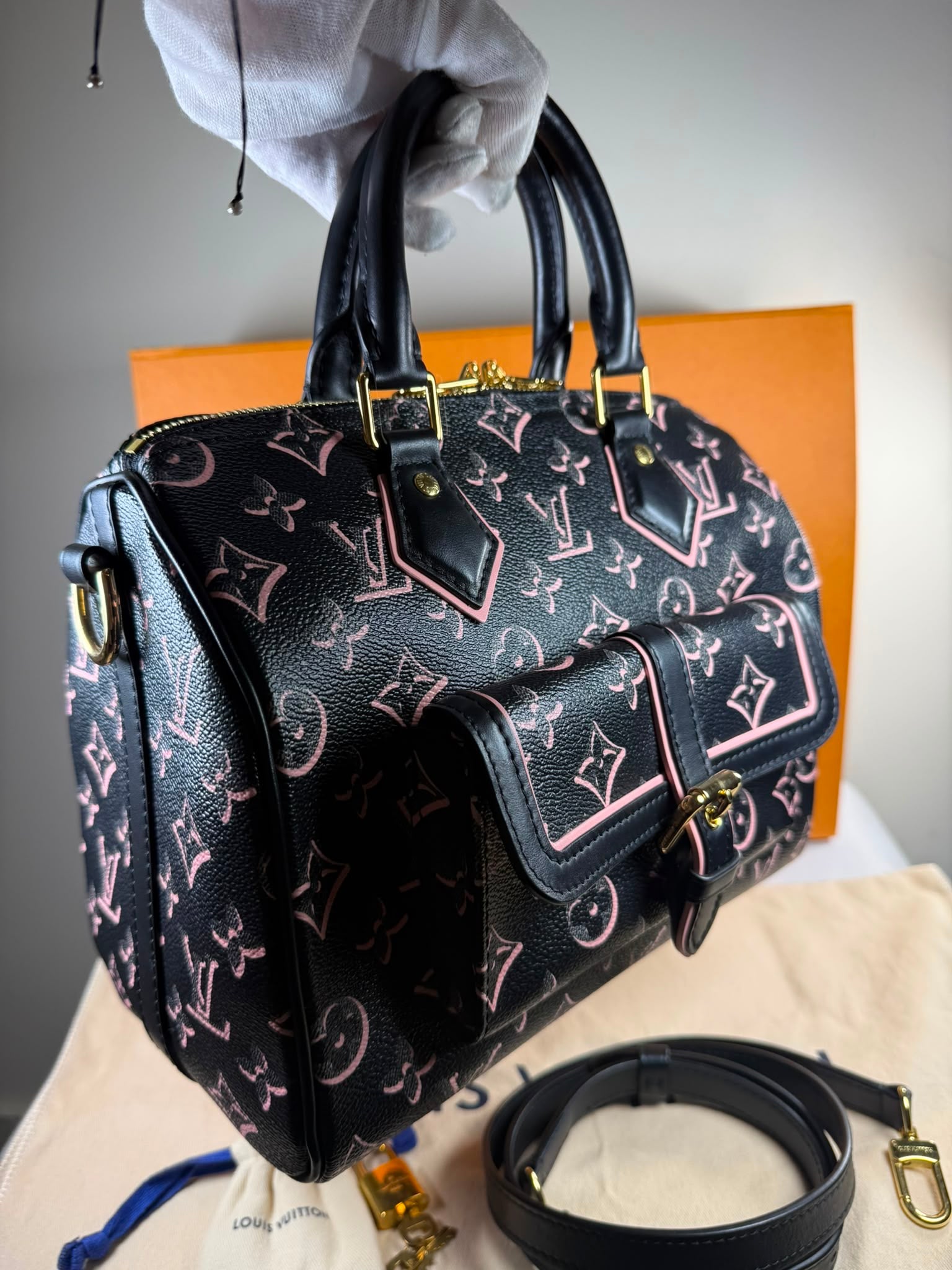 Louis Vuitton Speedy 25 Fall For You
