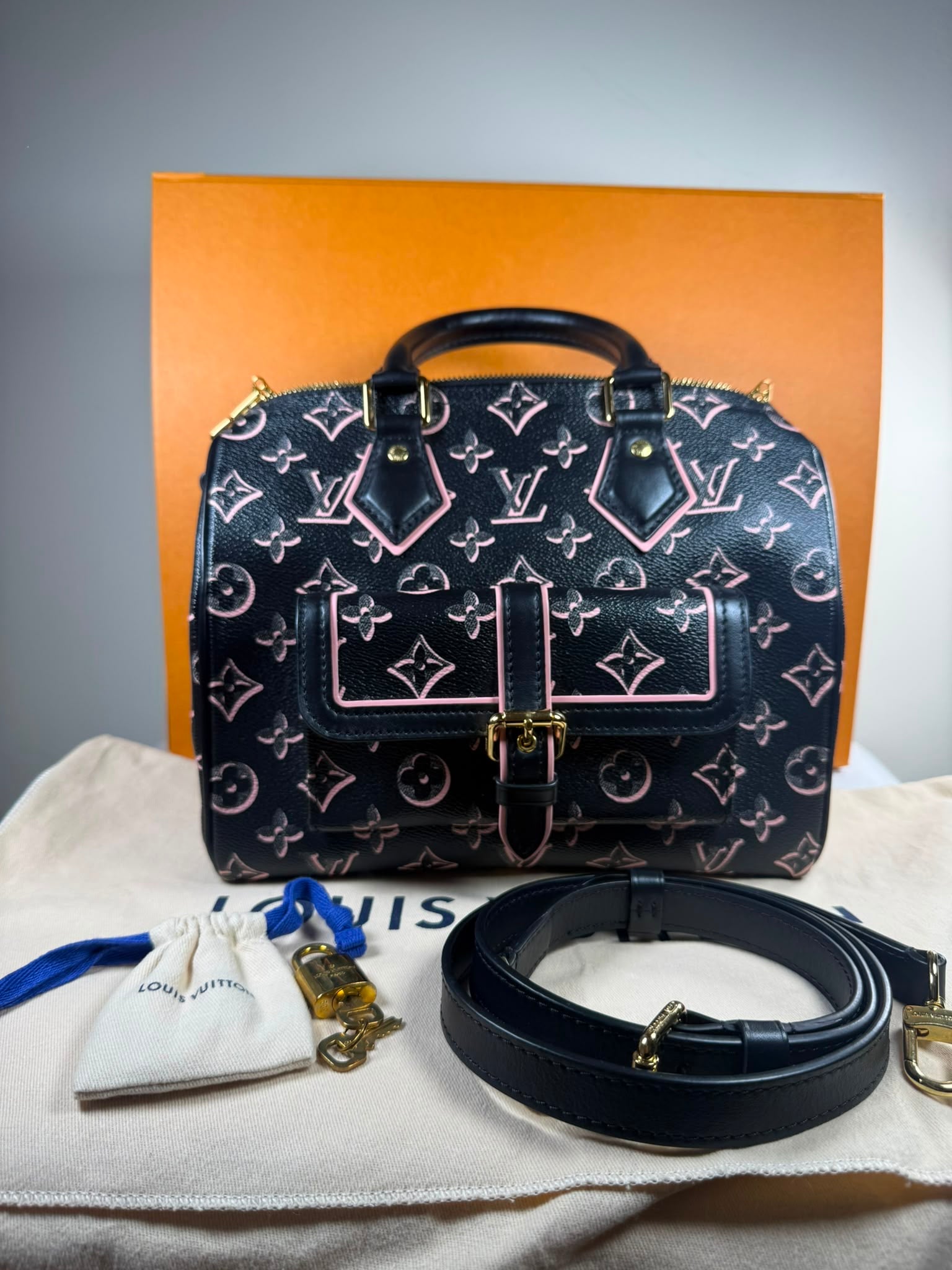 Louis Vuitton Speedy 25 Fall For You
