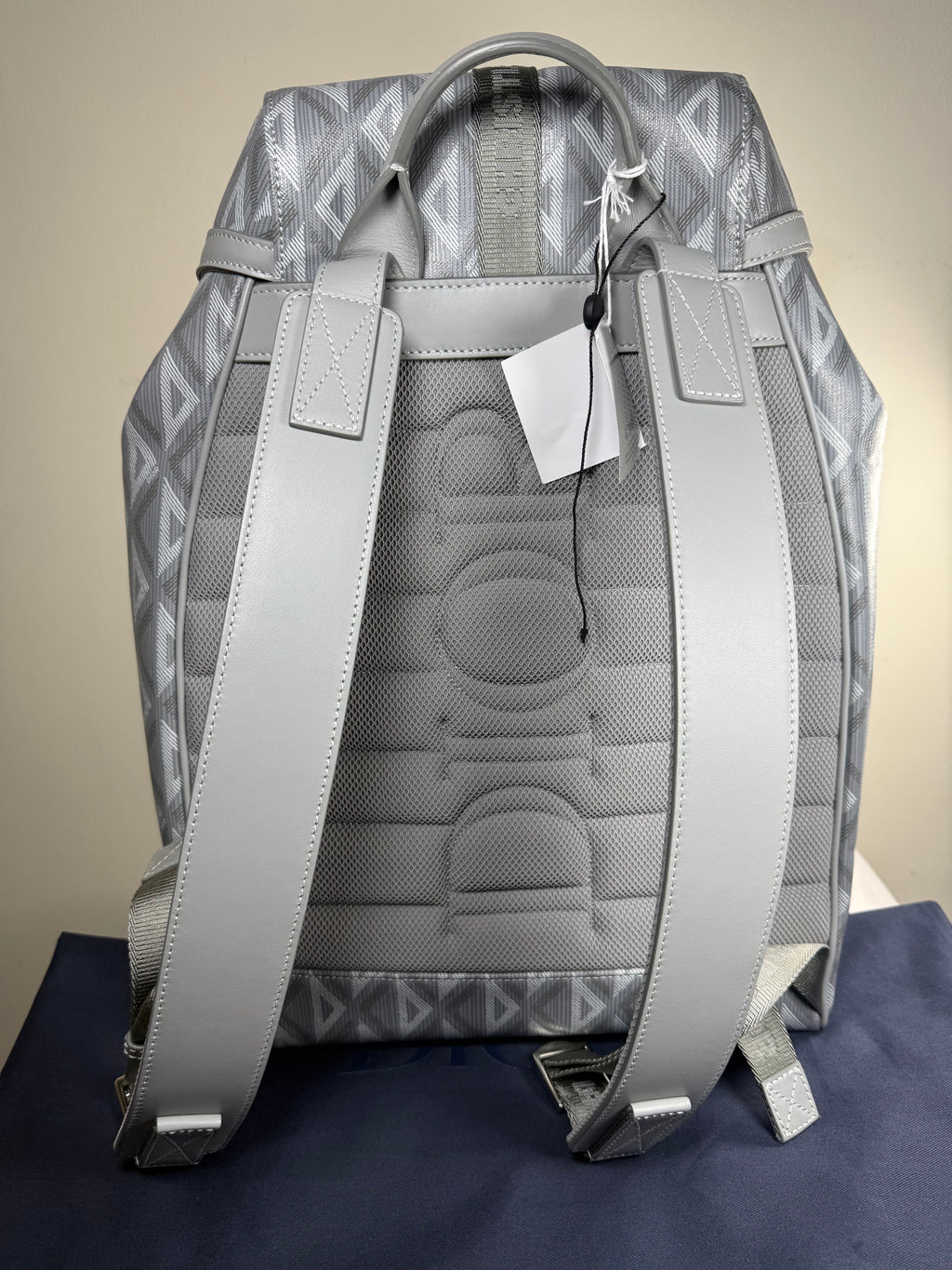 Christian Dior Hit The Road Backpack