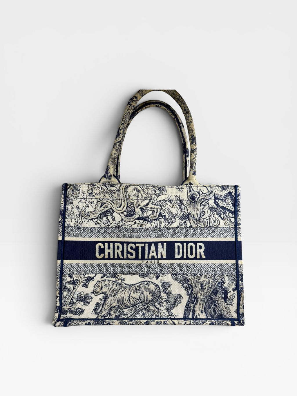 Christian Dior Book Tote