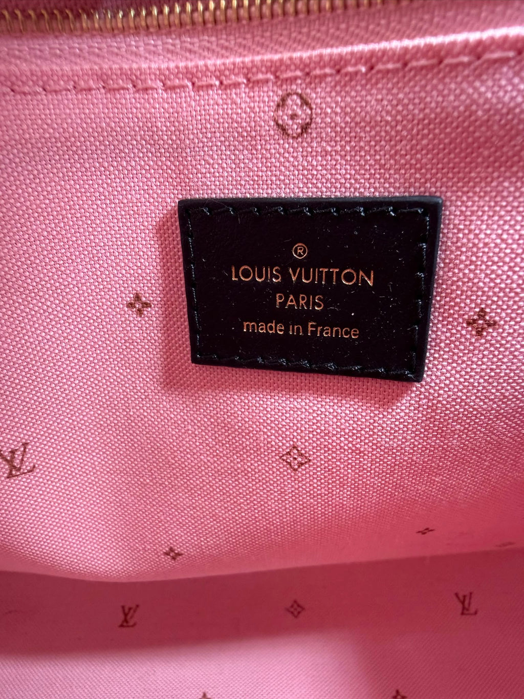 Louis Vuitton Speedy 25 Fall For You