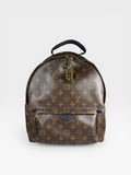 Louis Vuitton Palm Springs PM Backpack Monogram