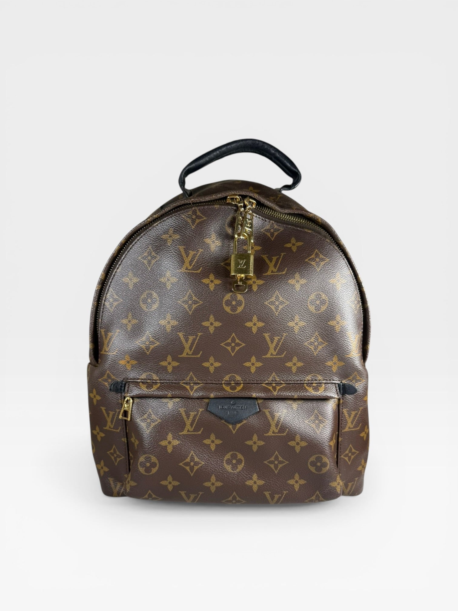 Louis Vuitton Palm Springs PM Backpack Monogram