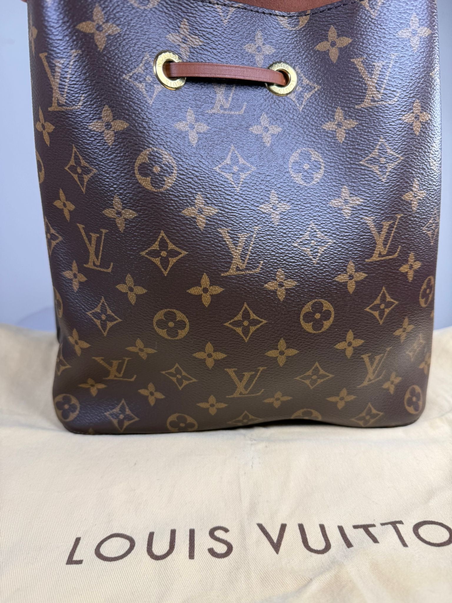 Louis Vuitton NeoNoe MM Monogram Bucket Bag – Excellent Condition