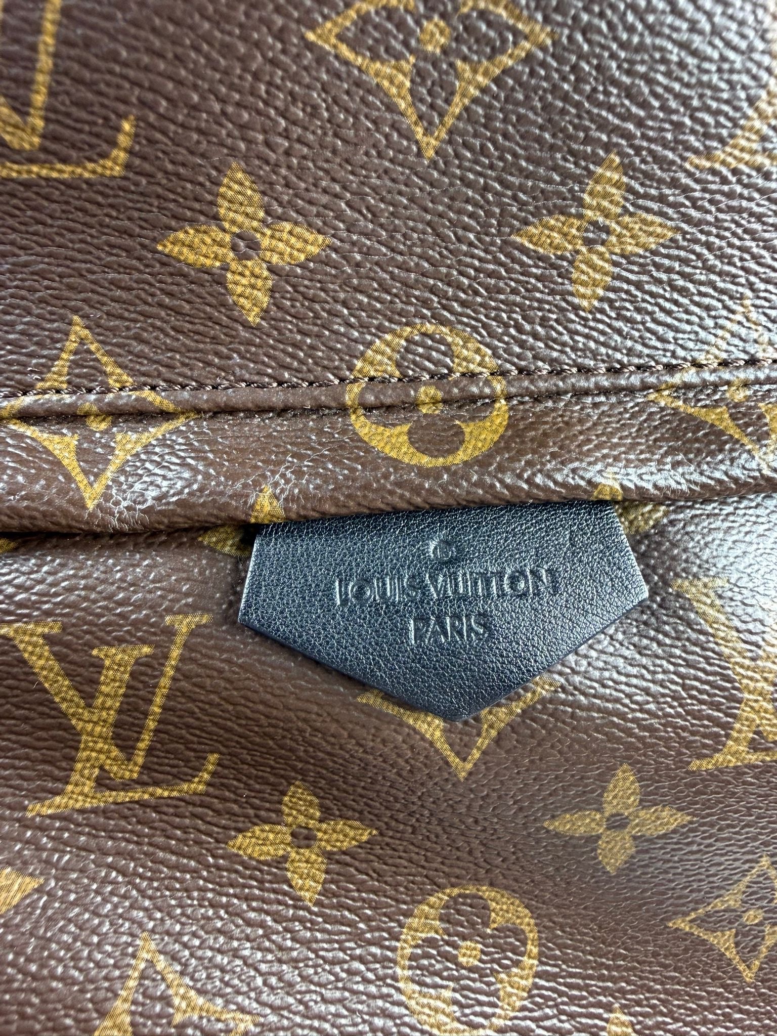 Louis Vuitton Palm Springs PM Backpack Monogram
