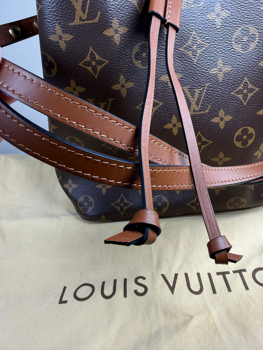 Louis Vuitton NeoNoe MM Monogram Bucket Bag – Excellent Condition