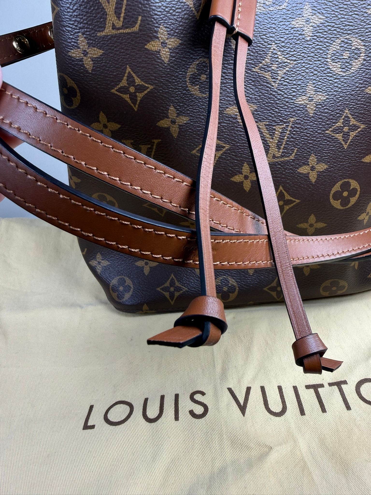 Louis Vuitton NeoNoe MM Monogram Bucket Bag – Excellent Condition