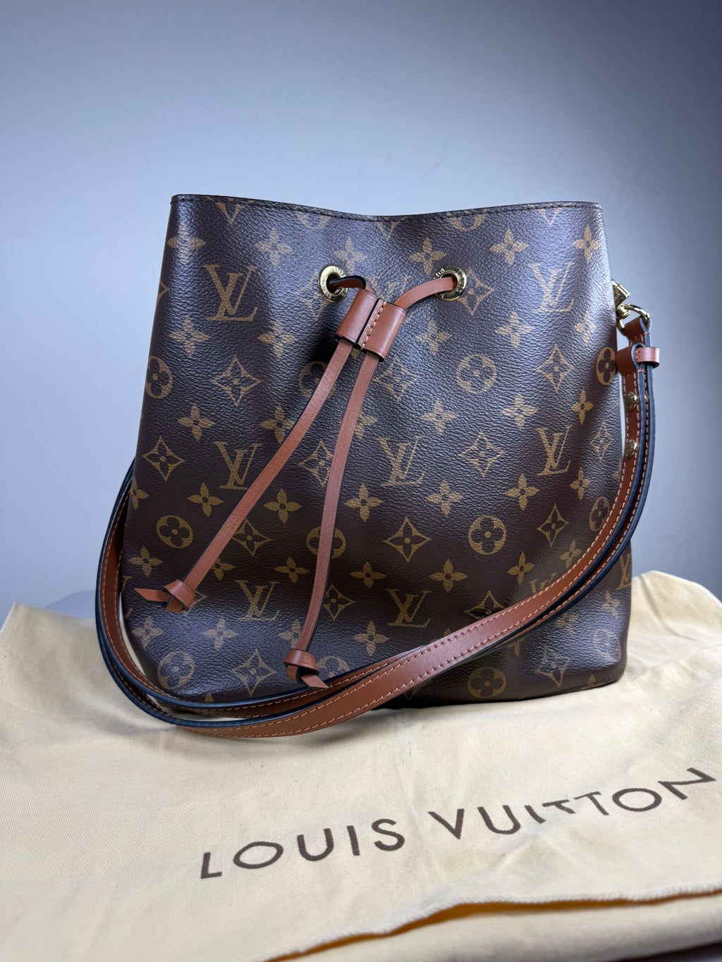 Louis Vuitton NeoNoe MM Monogram Bucket Bag – Excellent Condition