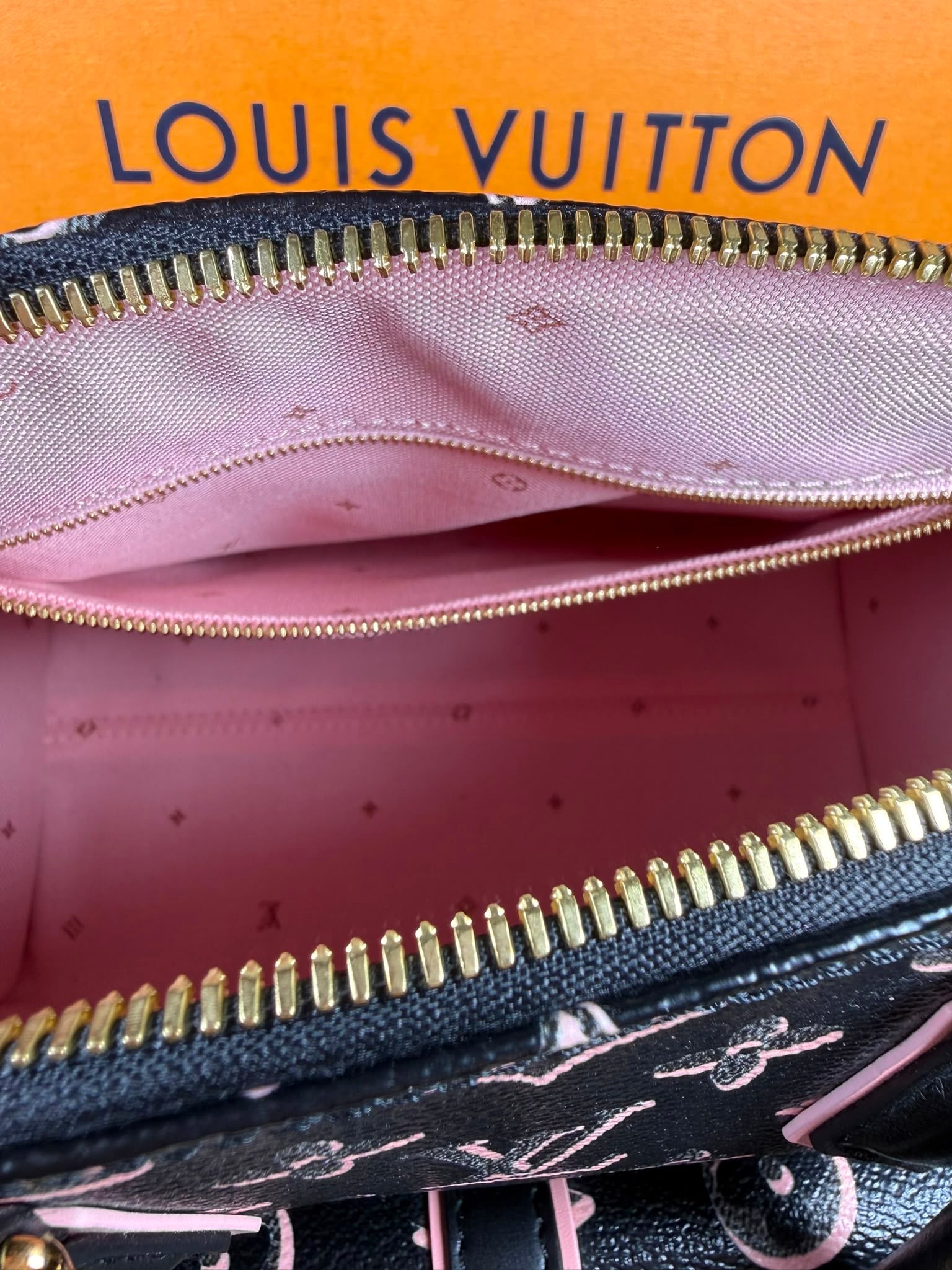 Louis Vuitton Speedy 25 Fall For You