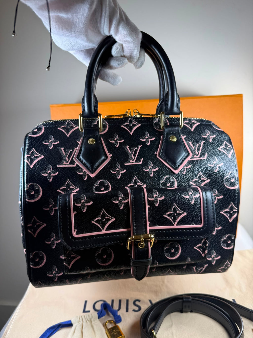 Louis Vuitton Speedy 25 Fall For You