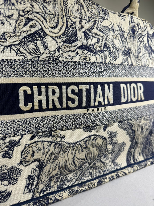 Christian Dior Book Tote