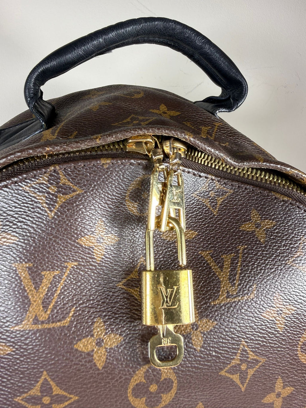 Louis Vuitton Palm Springs PM Backpack Monogram