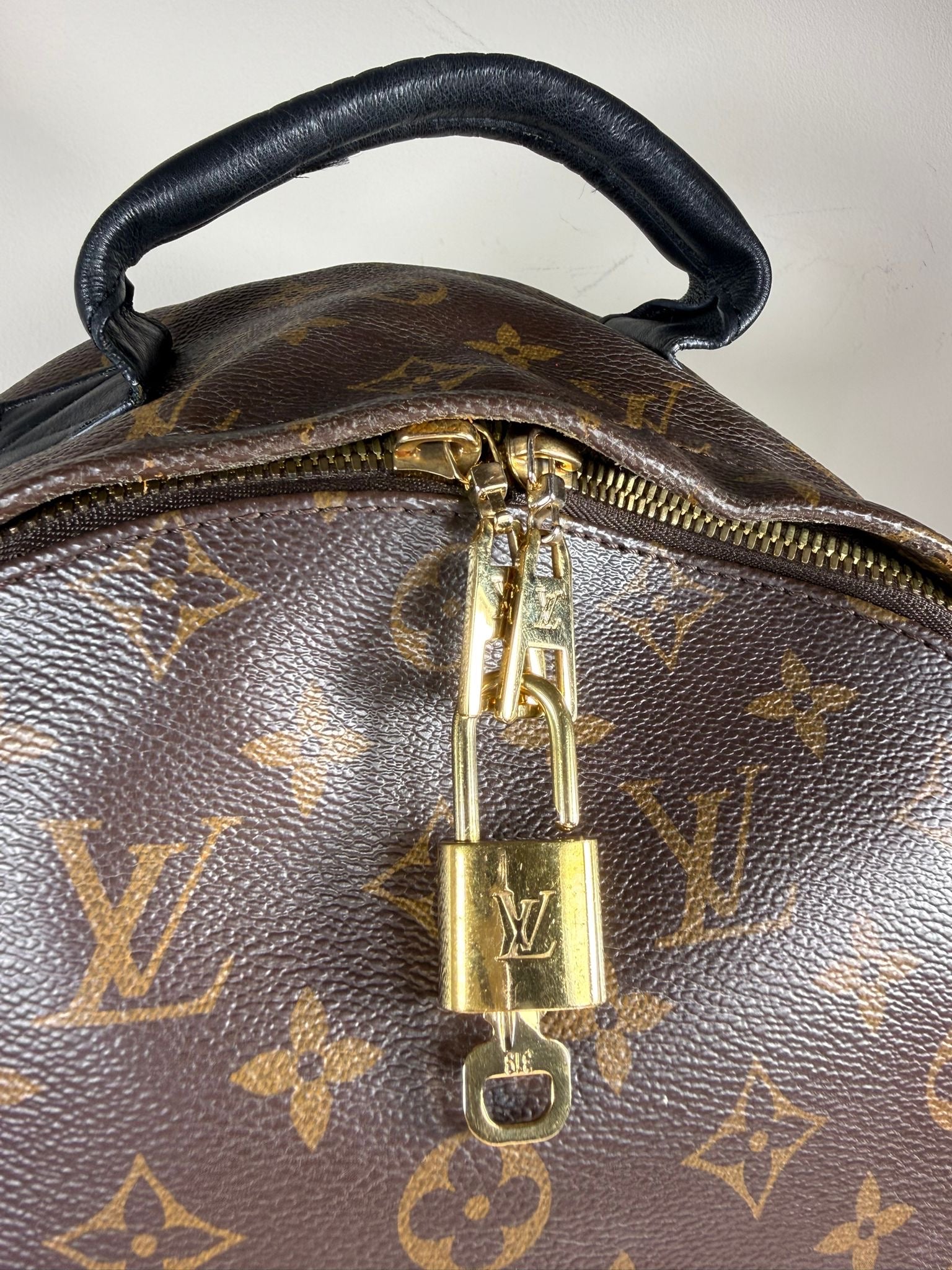 Louis Vuitton Palm Springs PM Backpack Monogram