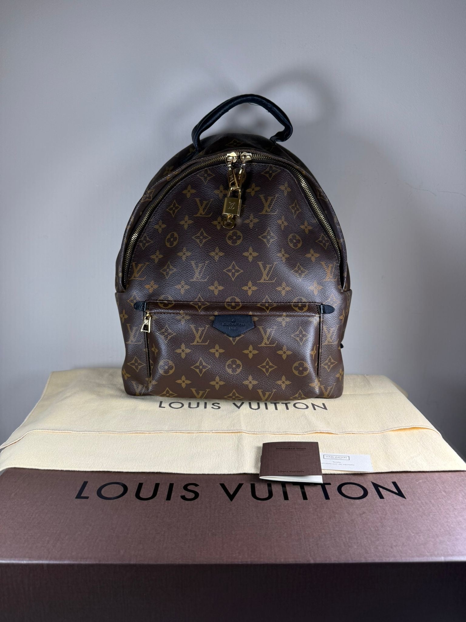 Louis Vuitton Palm Springs PM Backpack Monogram