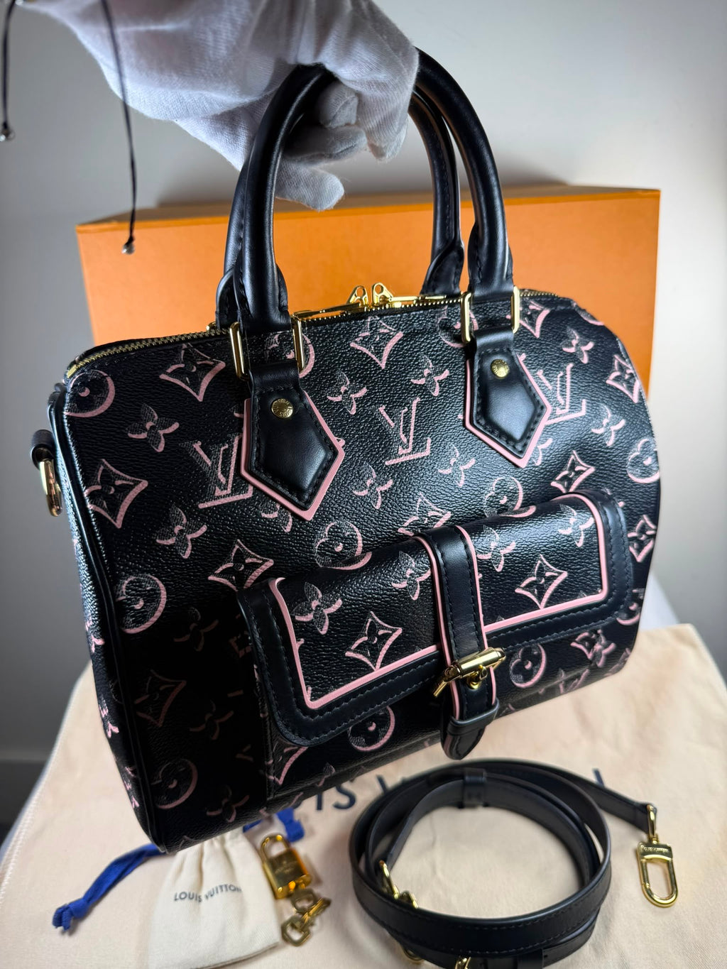 Louis Vuitton Speedy 25 Fall For You