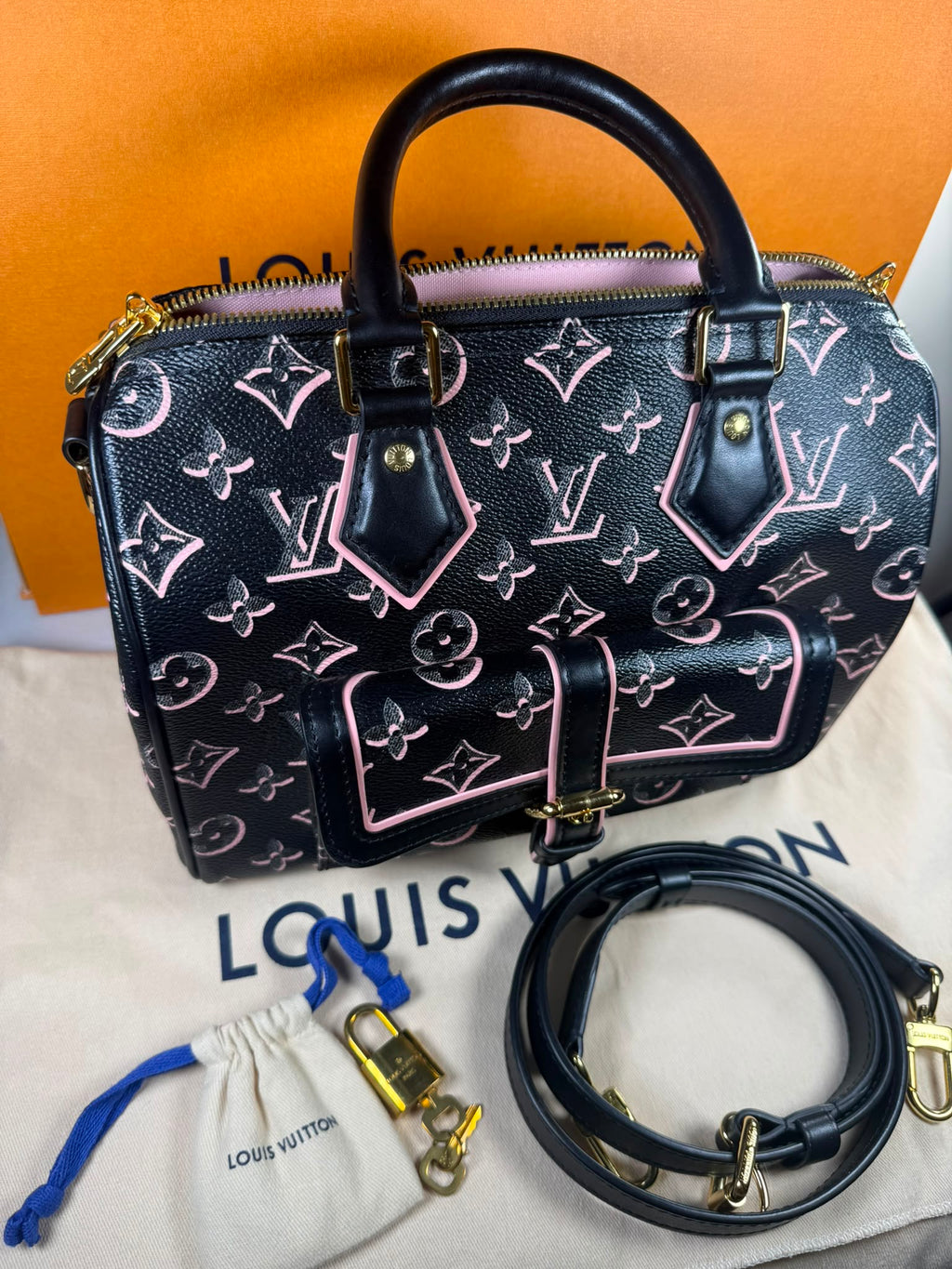 Louis Vuitton Speedy 25 Fall For You