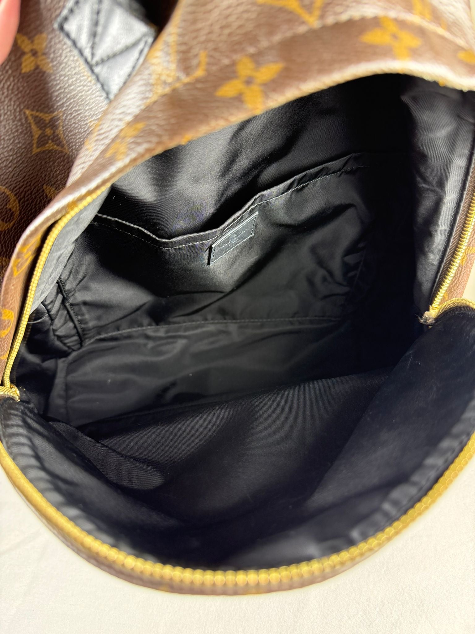 Louis Vuitton Palm Springs PM Backpack Monogram