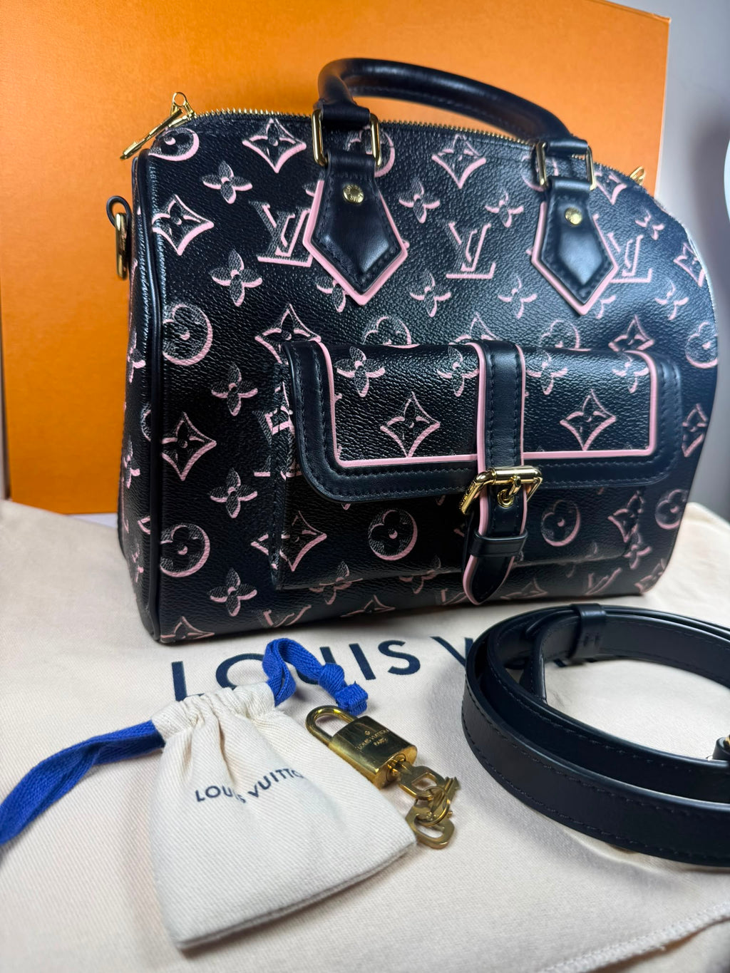 Louis Vuitton Speedy 25 Fall For You