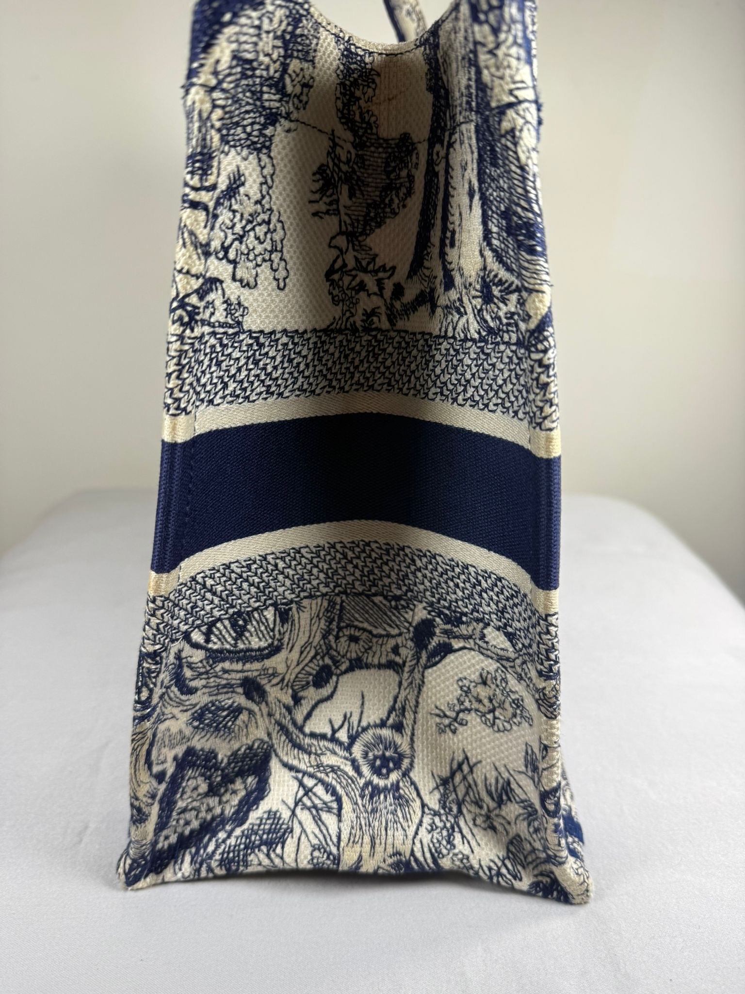 Christian Dior Book Tote