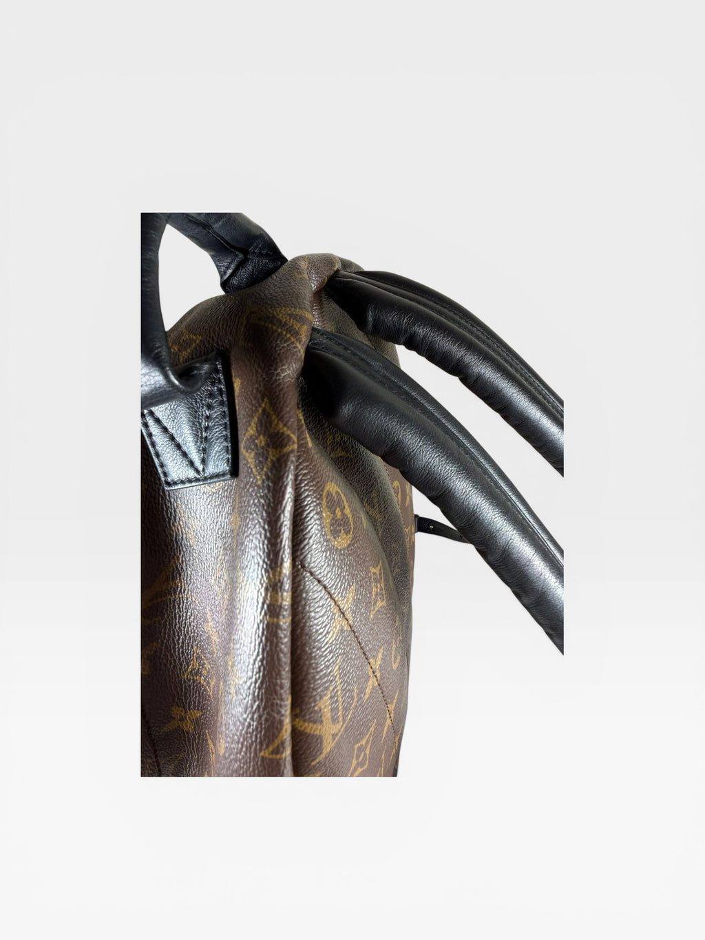 Louis Vuitton Palm Springs PM Backpack Monogram