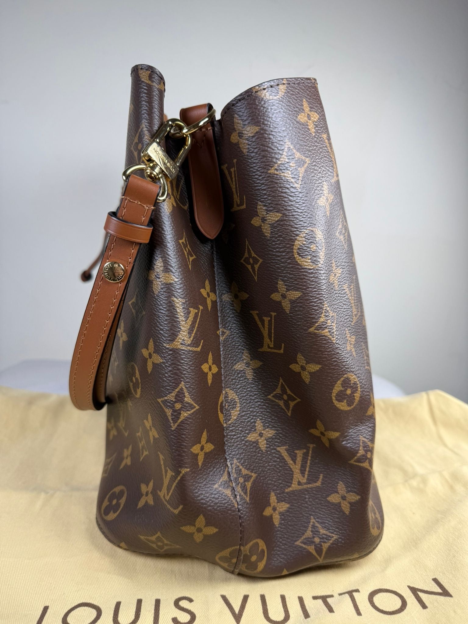 Louis Vuitton NeoNoe MM Monogram Bucket Bag – Excellent Condition
