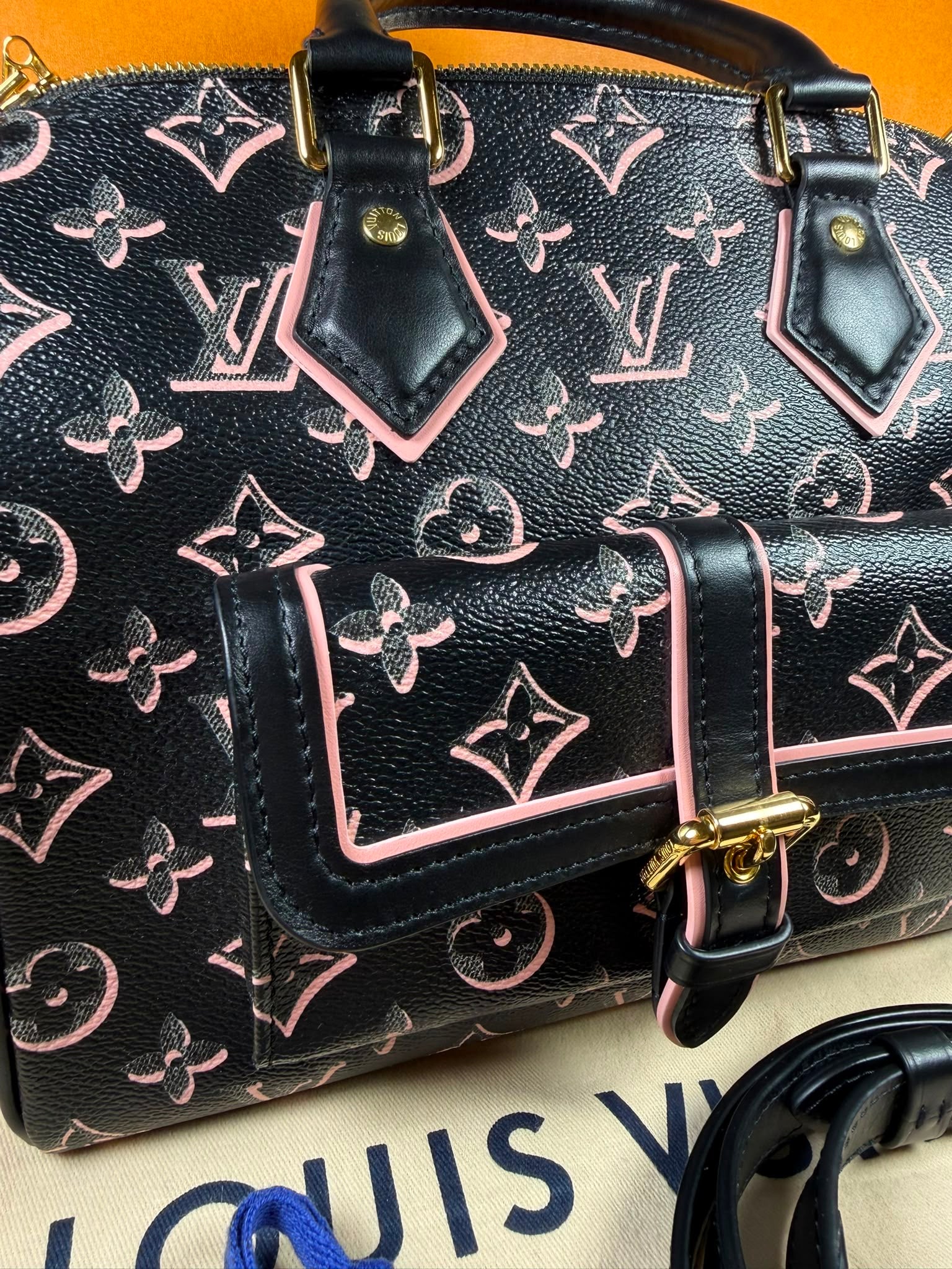 Louis Vuitton Speedy 25 Fall For You
